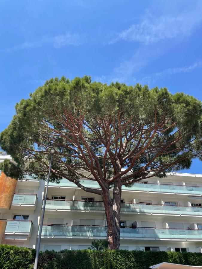 Superbe studio lumineux sur Cannes, à quelques minutes de la célèbre rue d'Antibes ! Exterior foto